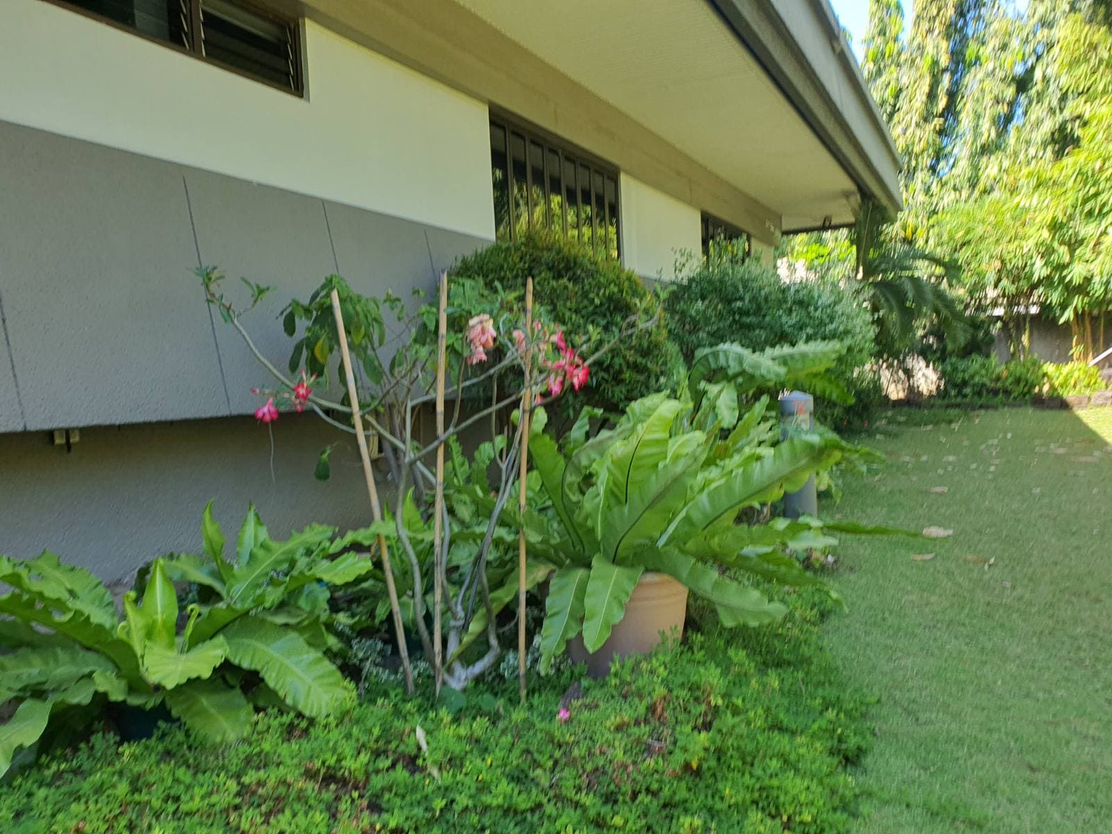Spacious Split Type House - photo 5
