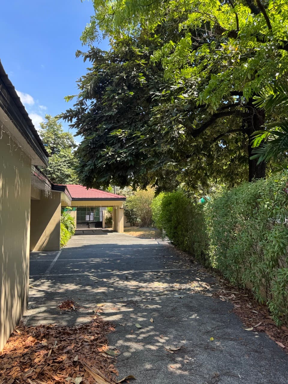Modern corner house in quiet street - photo 5