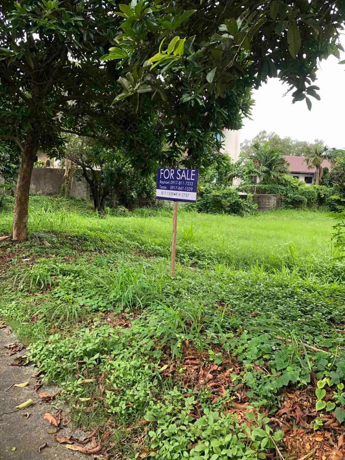 Rectangular Lot for Sale - Ayala Alabang, Muntinlupa - photo 1