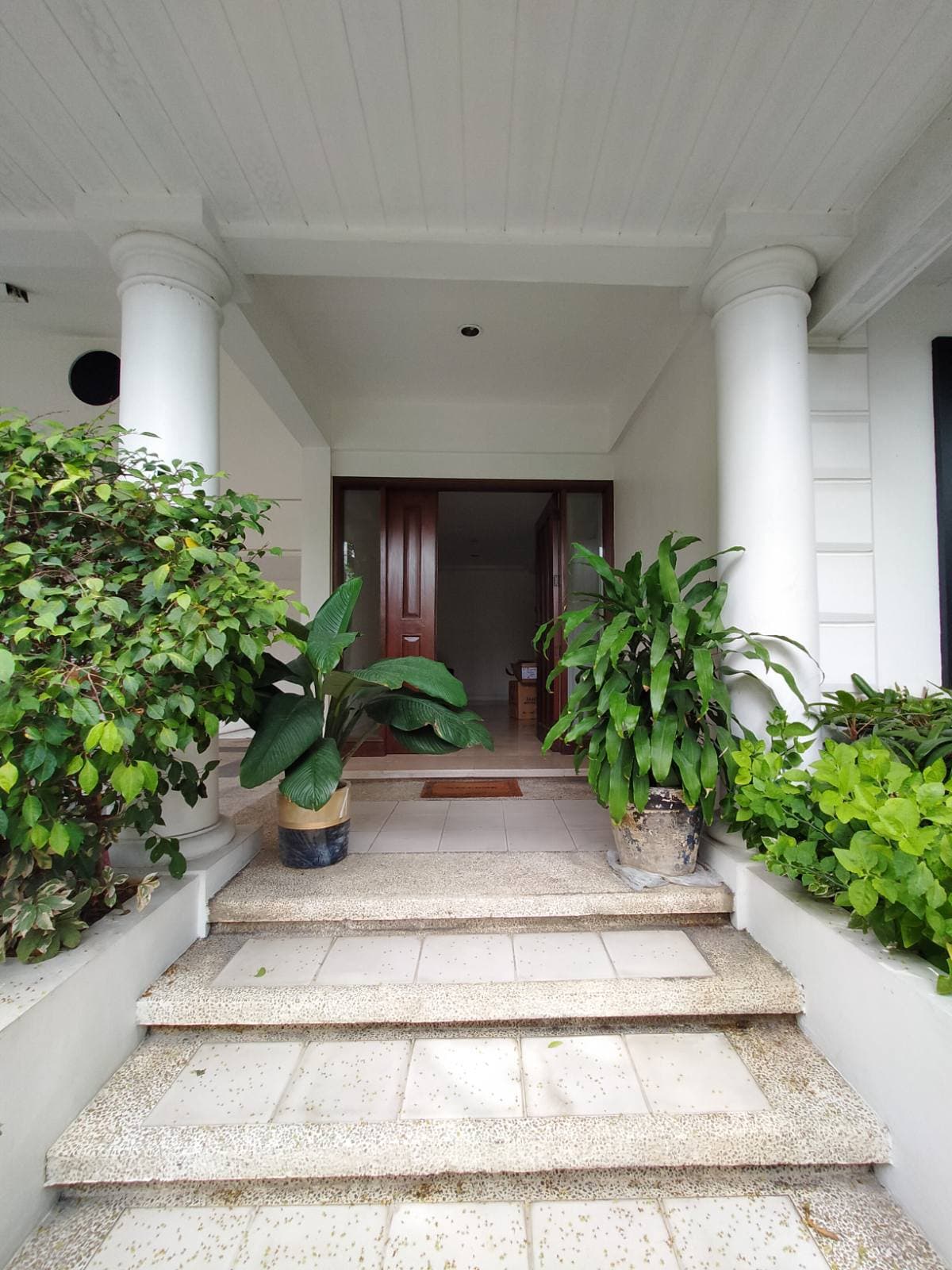 Neo French 2-storey - photo 3