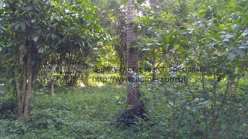 Good investment Farm Lot in Lipa Batangas - Batangas, Outside Metro Manila - photo 1