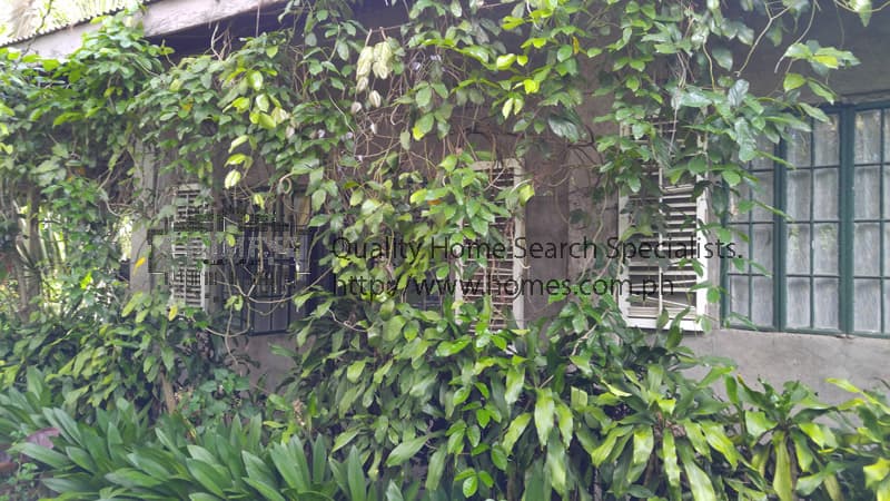Good investment Farm Lot in Lipa Batangas - photo 2