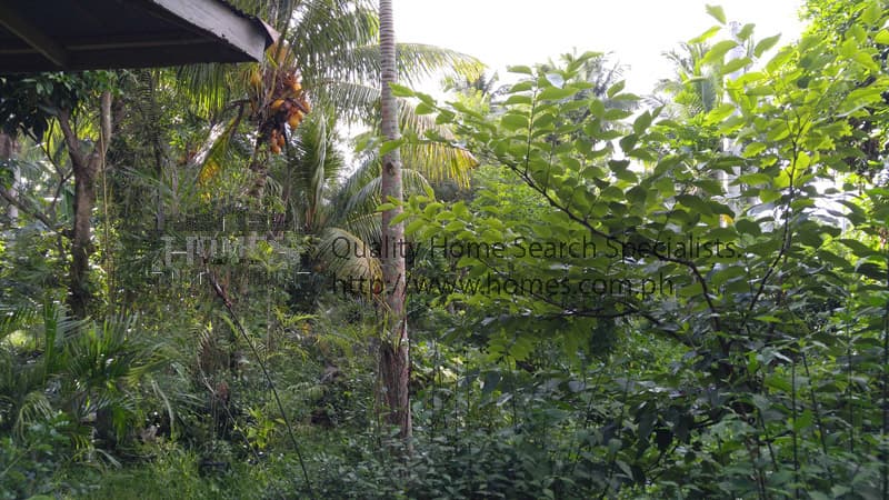 Good investment Farm Lot in Lipa Batangas - photo 4