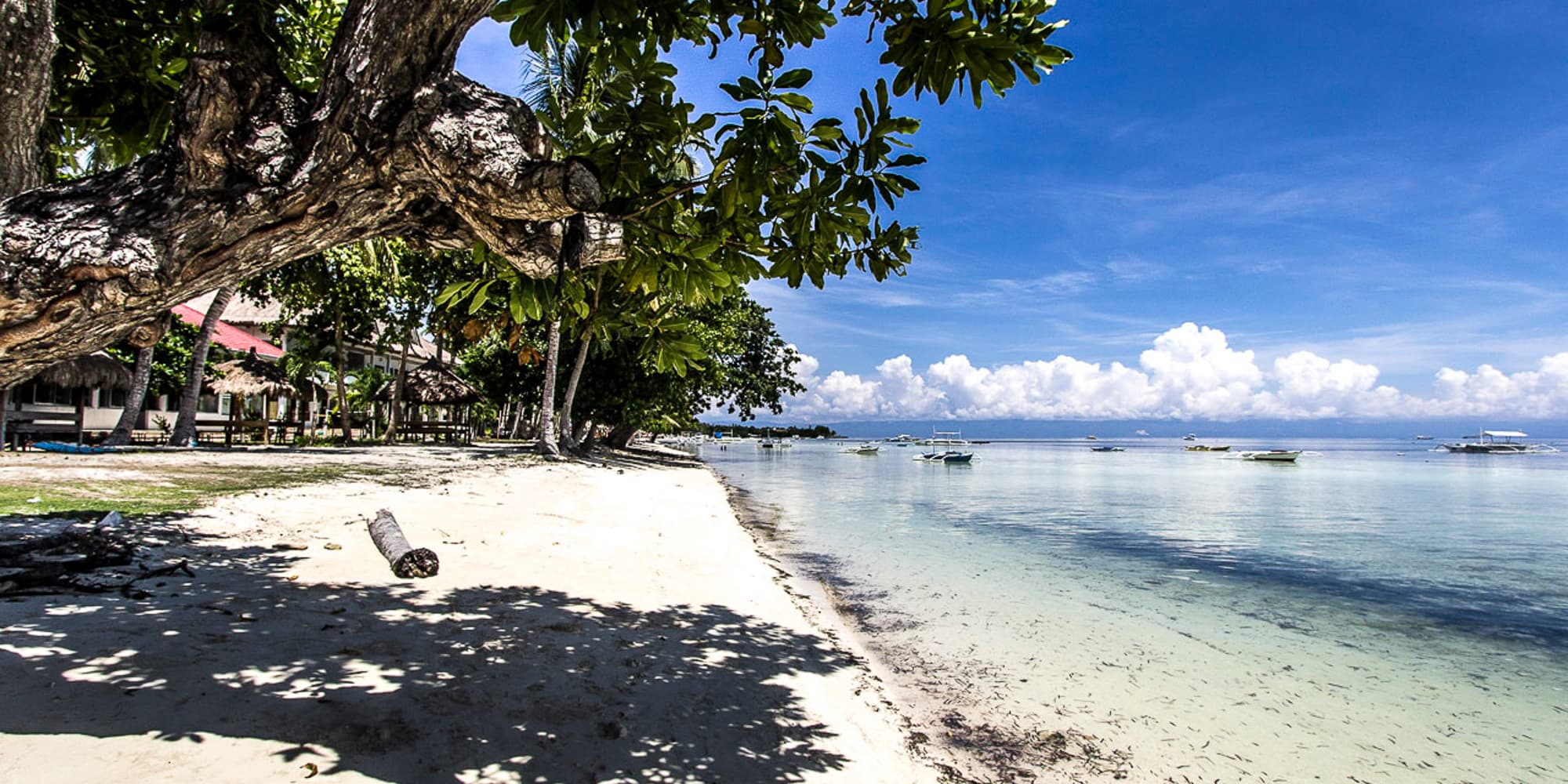 Amazing Beach Front Property for Sale in Bohol - Bohol, Outside Metro Manila - photo 1