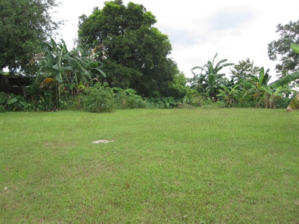 Exclusive Private Lot - Ayala Alabang, Muntinlupa - photo 1