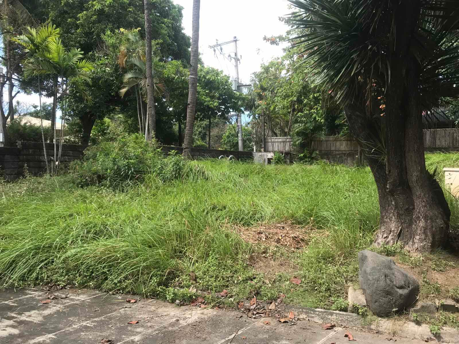 Large Garden 2-Storey - photo 5