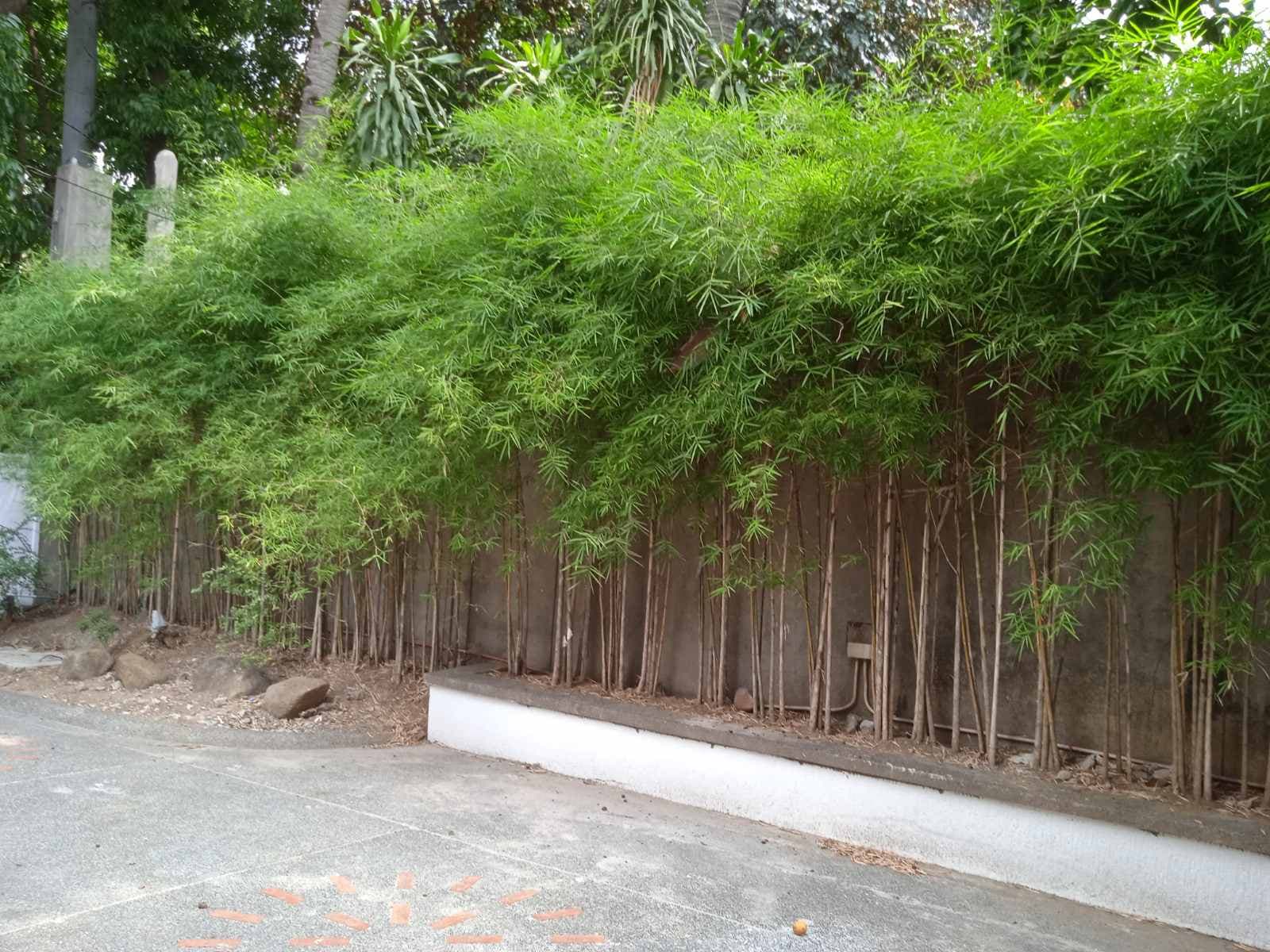 Newly Renovated House - photo 4