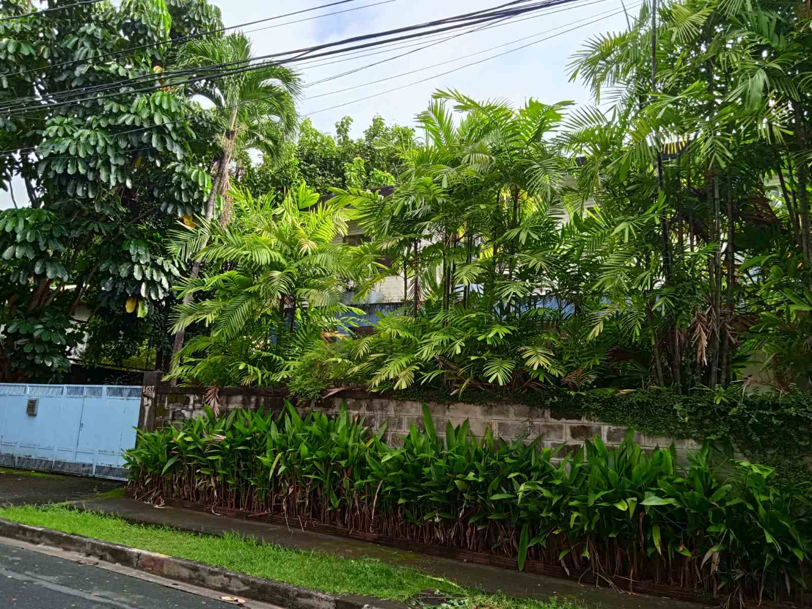 Ideal fengshui lot with 2 storey - Dasmarinas Village, Makati - photo 1
