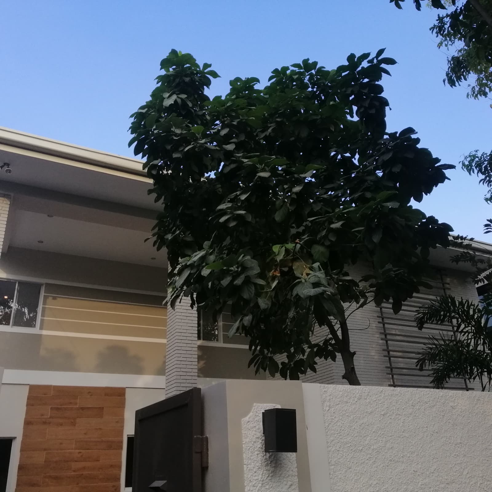 Modern design and homey 2 storey - Dasmarinas Village, Makati - photo 1